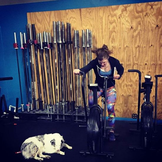 Taking some time off the barbell means more time on the assault bike.

Remember why you're doing this, embrace the suck, and push harder.

The open is almost here. I can't wait! ...Selene isn't as excited.

#whyisshesotired #aussiesofinstagram
#CrossFitOpen #illbeready #windycitylivin #slsc #crossfitinvalesco #urtheanswer #greenmatr #assaultbike #CrossFit