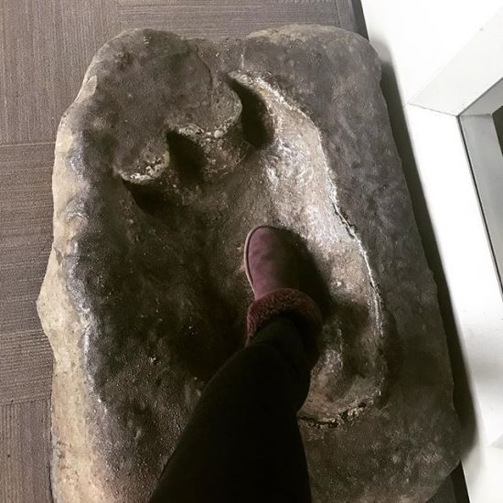 Measuring this Dino footprint at the @fieldmuseum !! I’m a HUGE fan of all Chicago museums so def check them out if you ever visit.. and don’t forget to measure them 